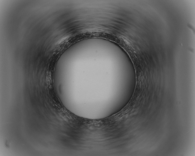 X0000091241062200708301533