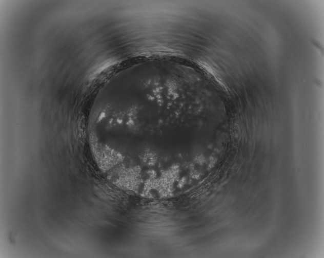 X0000091241063200708301533