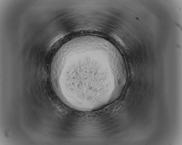 X0000091241064200708301533