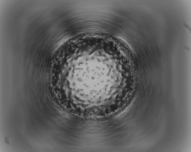 X0000091241065200708301533