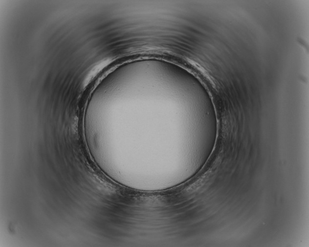 X0000091241066200708301533