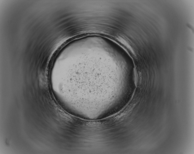 X0000091241068200708301533