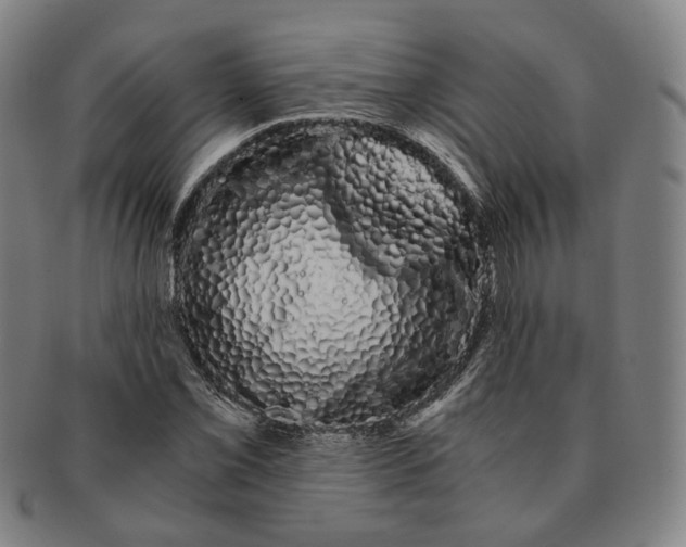 X0000091241069200708301533