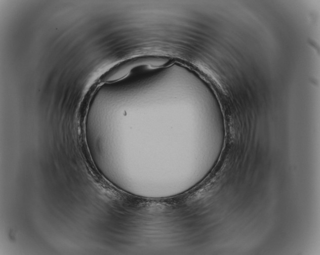 X0000091241070200708301533