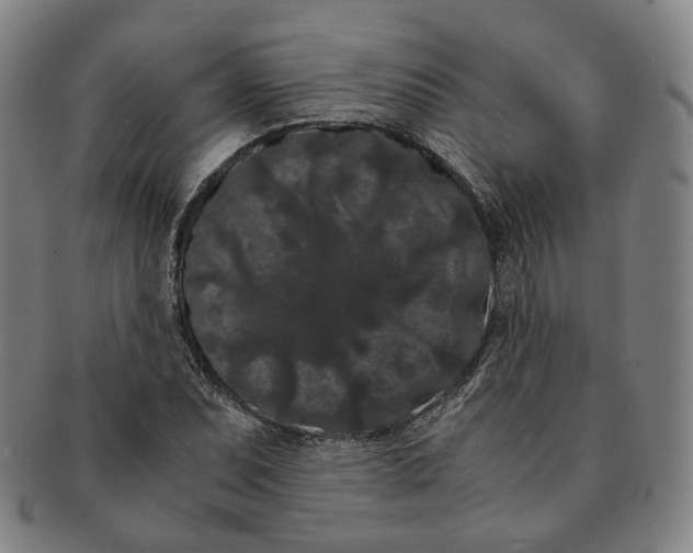 X0000091241071200708301533