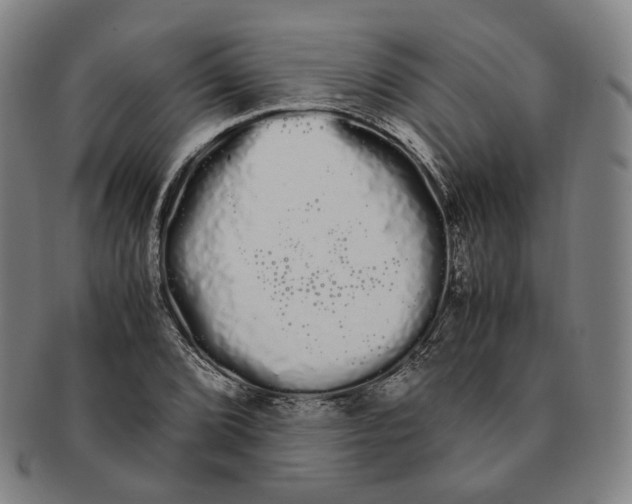 X0000091241072200708301533