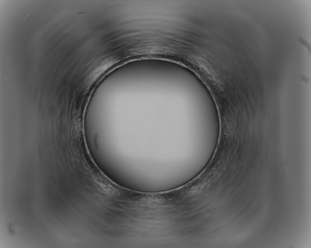 X0000091241073200708301533