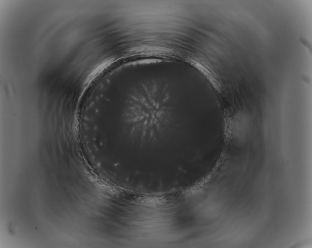 X0000091241074200708301533