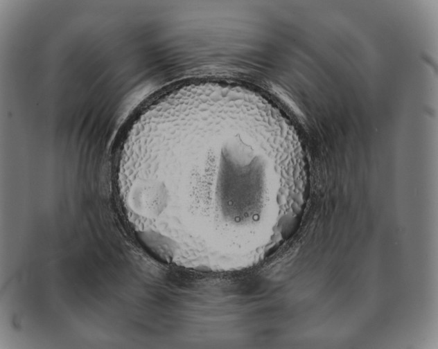 X0000091241075200708301533