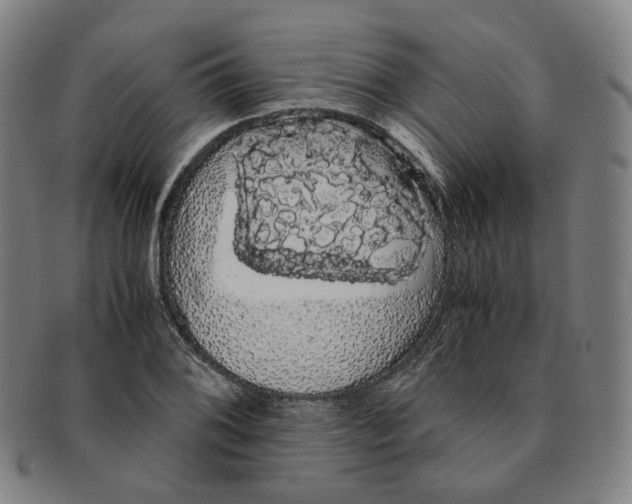 X0000091241076200708301533