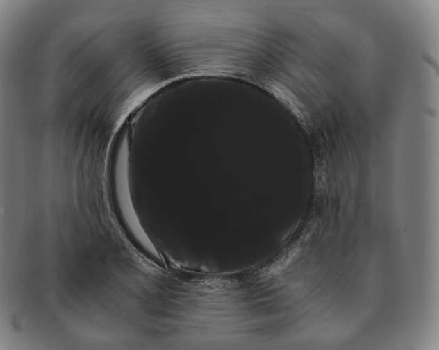 X0000091241077200708301533