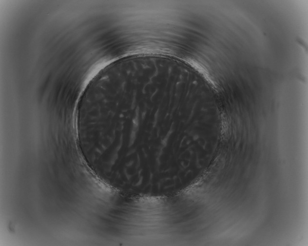 X0000091241078200708301533