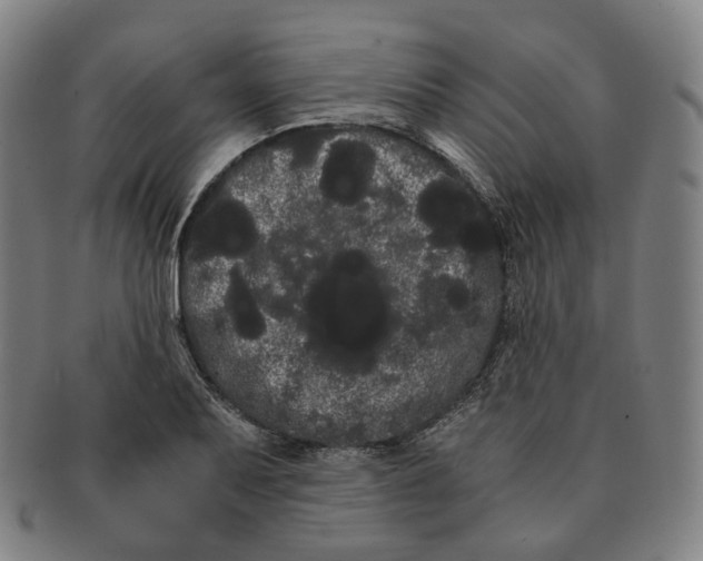 X0000091241079200708301533