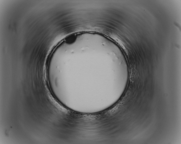 X0000091241080200708301533