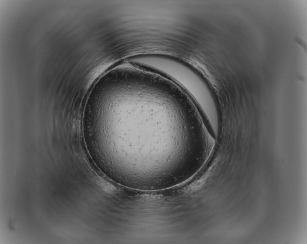 X0000091241081200708301533