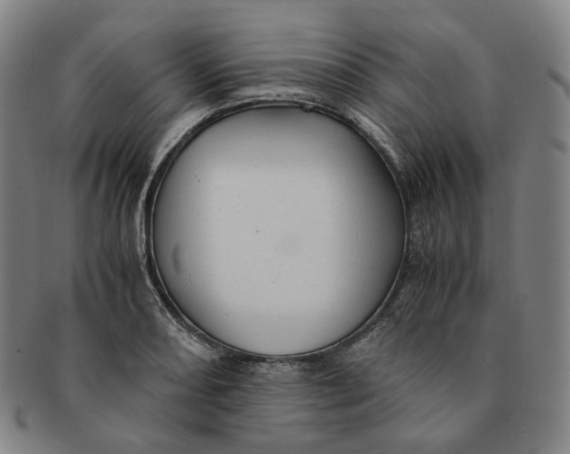 X0000091241082200708301533