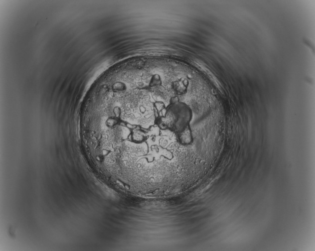 X0000091241083200708301533