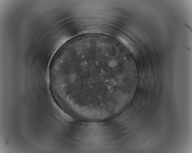 X0000091241084200708301533