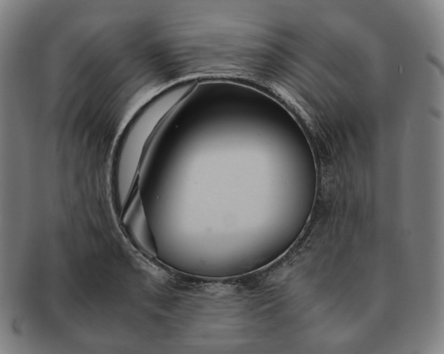 X0000091241085200708301533