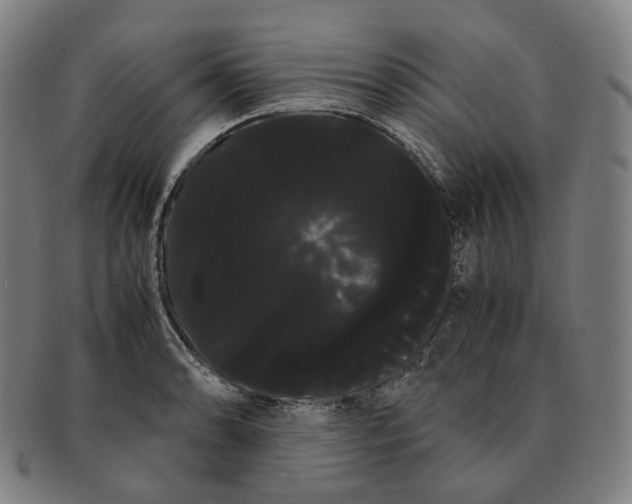 X0000091241086200708301533