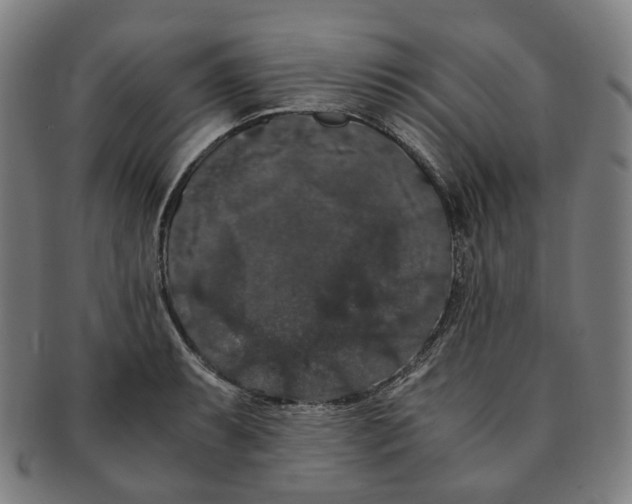 X0000091241087200708301533