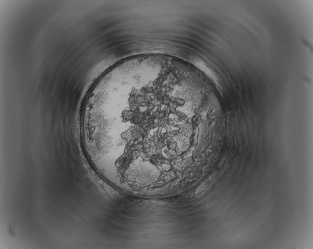 X0000091241088200708301533