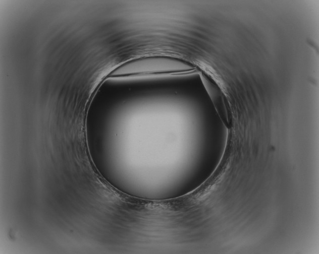 X0000091241089200708301533