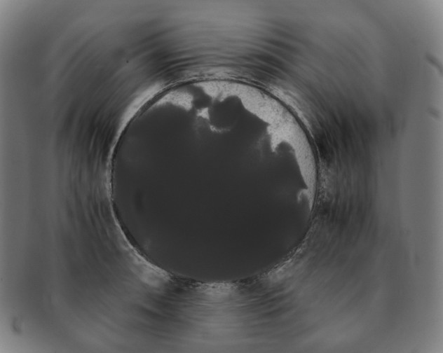 X0000091241090200708301533