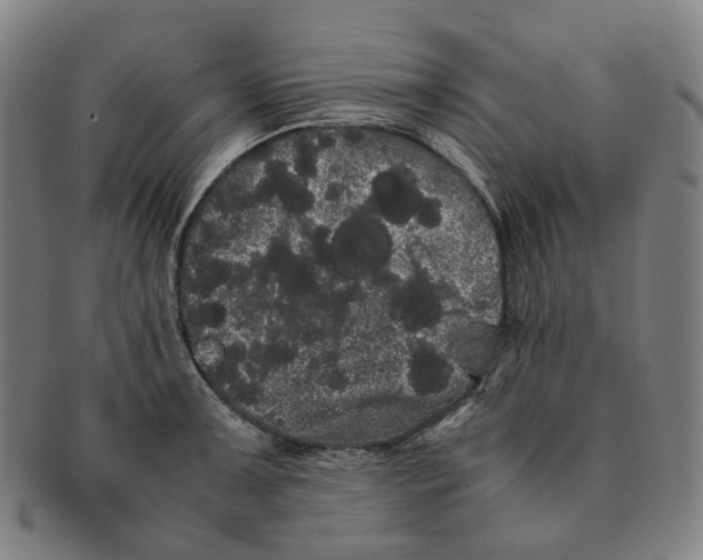 X0000091241091200708301533