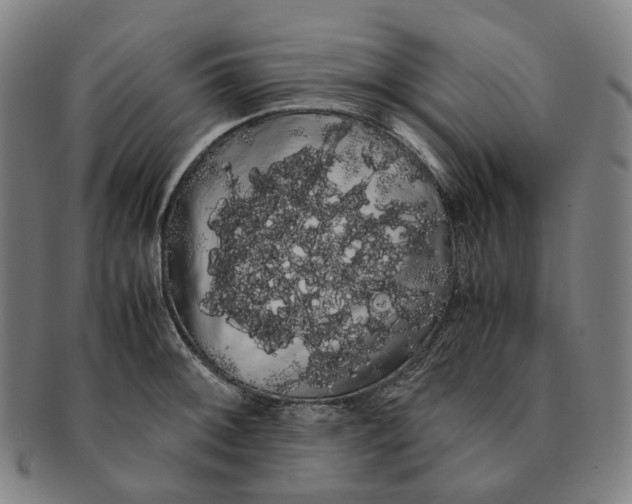 X0000091241092200708301533