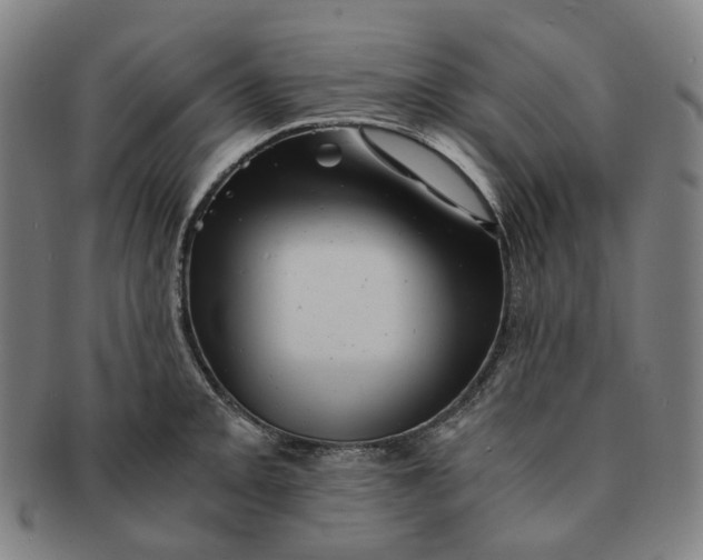 X0000091241093200708301533