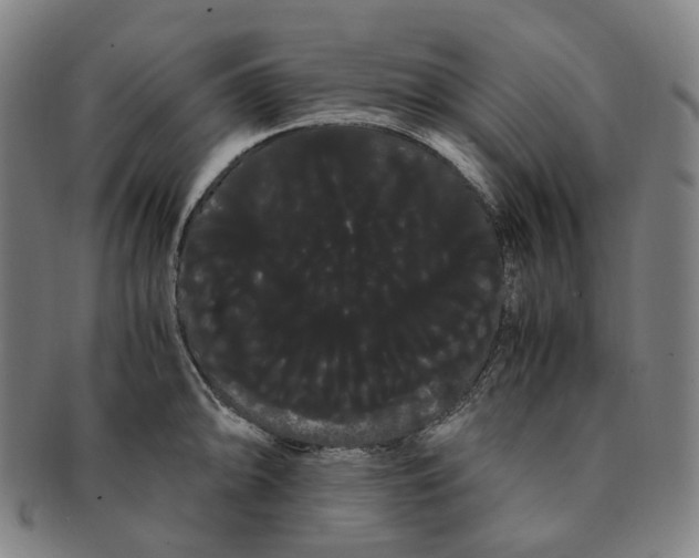 X0000091241094200708301533