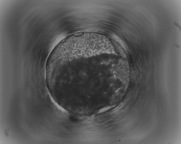 X0000091241095200708301533