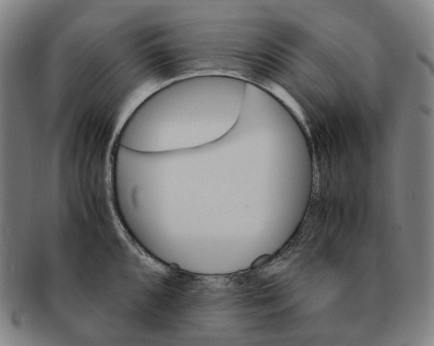 X0000091241096200708301533