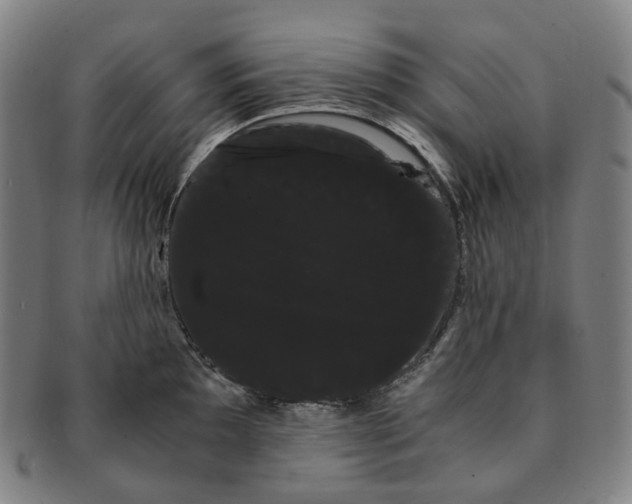 X0000091241097200708301533