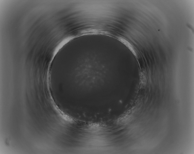 X0000091241098200708301533