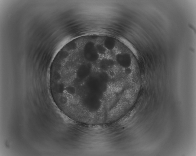 X0000091241099200708301533