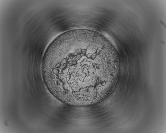 X0000091241100200708301533