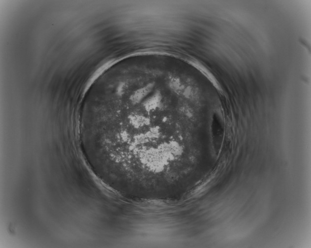 X0000091241101200708301533