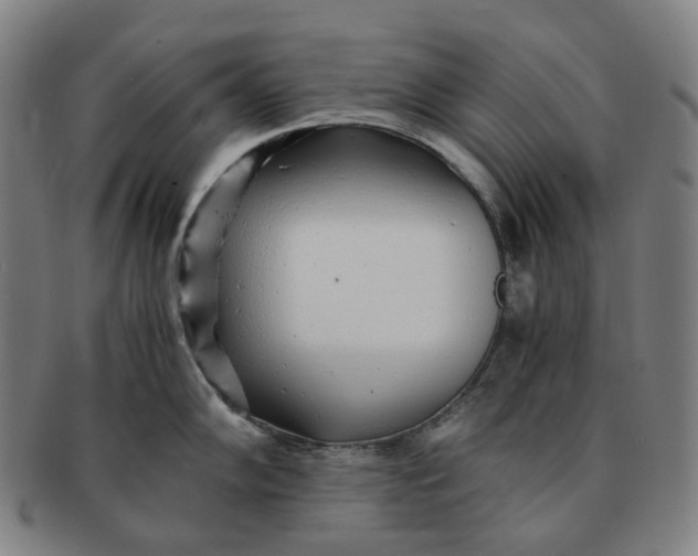 X0000091241102200708301533