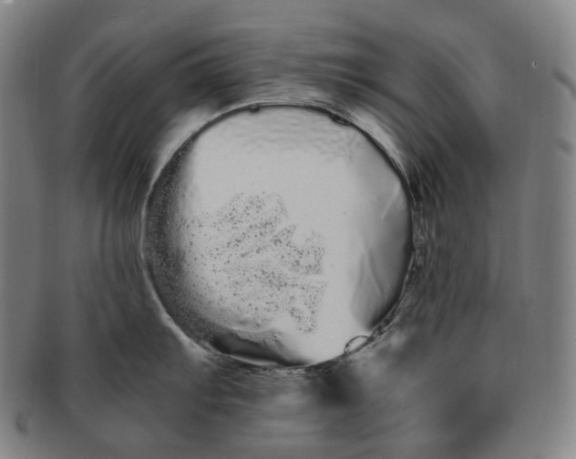 X0000091241103200708301533