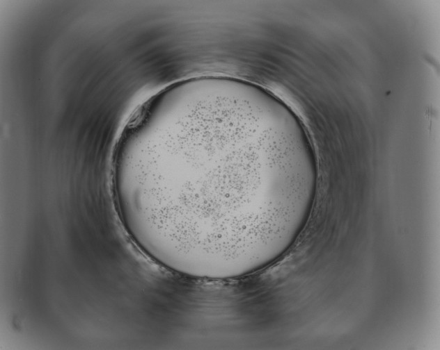 X0000091241104200708301533