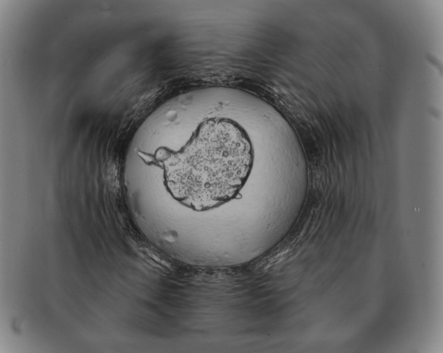 X0000091241106200708301532