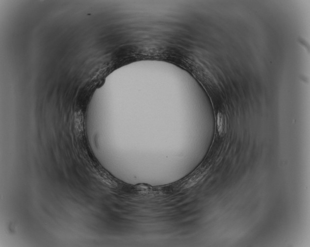 X0000091241107200708301532