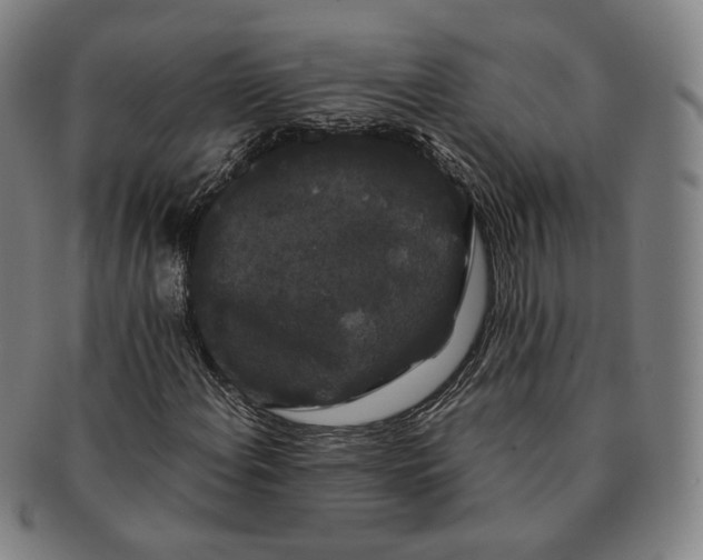 X0000091241108200708301532