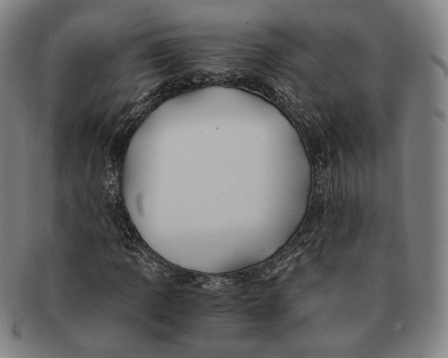 X0000091241109200708301532