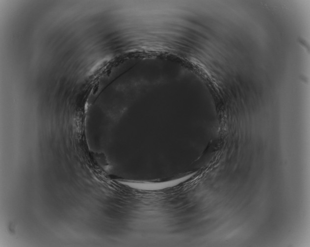 X0000091241110200708301532