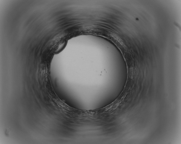 X0000091241111200708301532