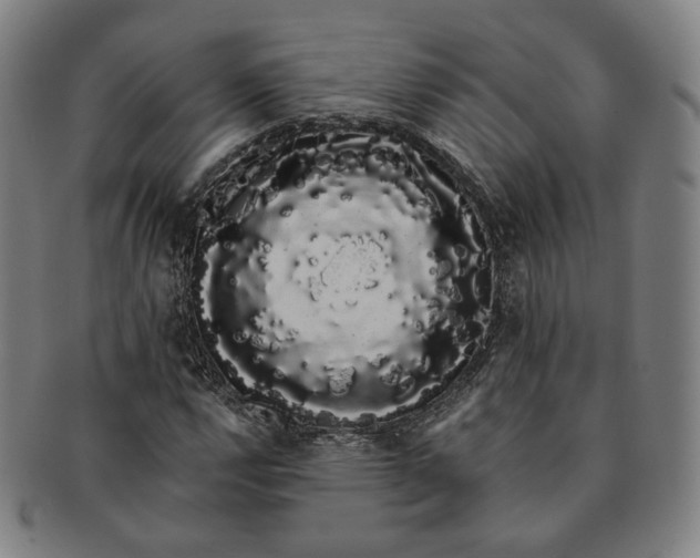 X0000091241112200708301532