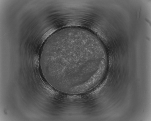 X0000091241113200708301532